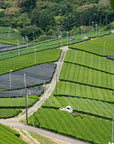 Yame no Tsuyu - 100g